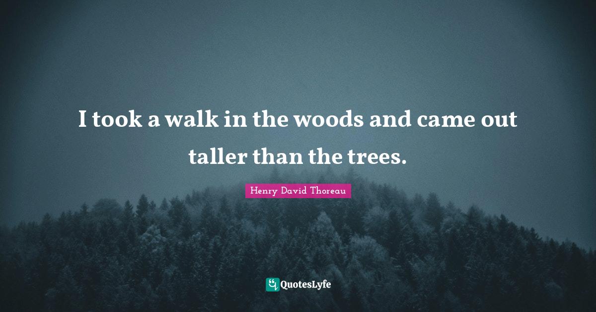 I took a walk in the woods and came out taller than the trees.... Quote by Henry David Thoreau