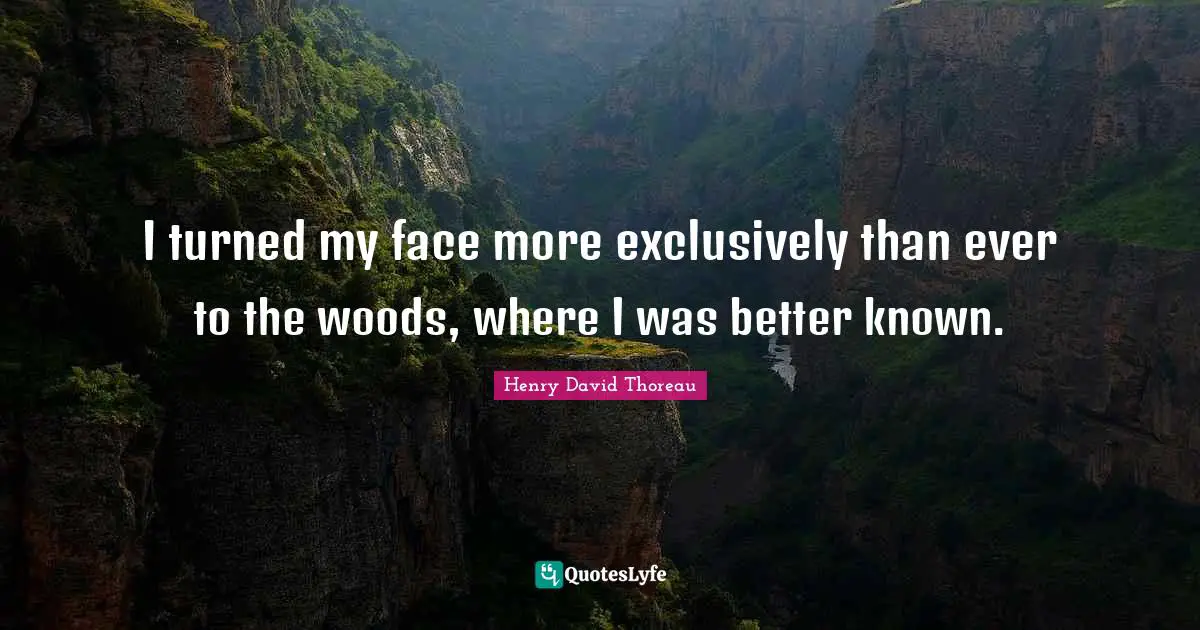 I turned my face more exclusively than ever to the woods, where I was better known.