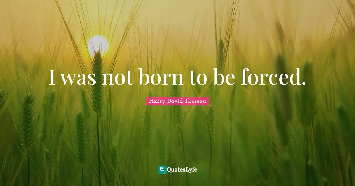 I was not born to be forced.