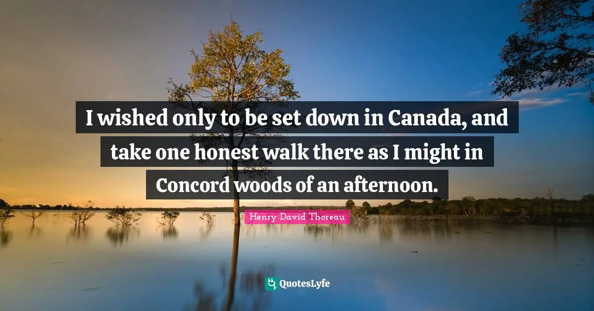 I wished only to be set down in Canada, and take one honest walk there as I might in Concord woods of an afternoon.