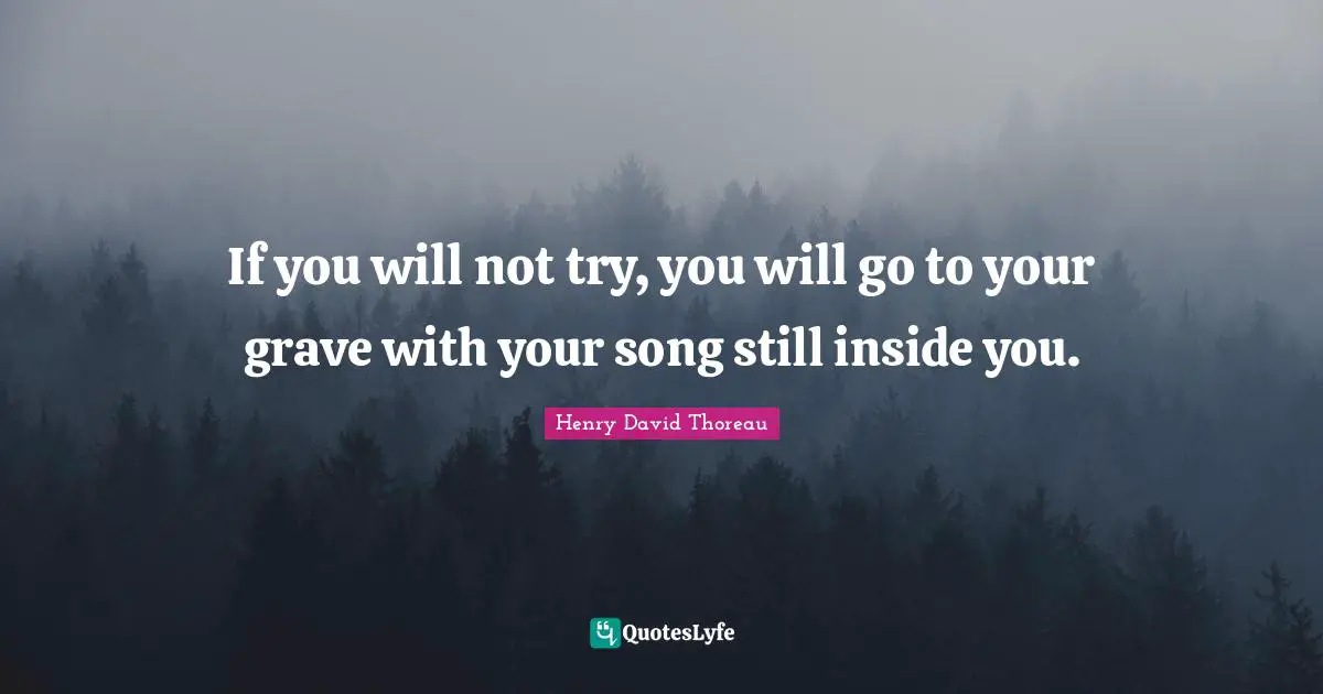 If you will not try, you will go to your grave with your song still inside you.