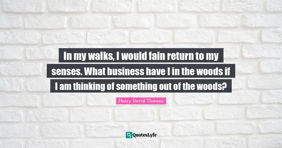 In my walks, I would fain return to my senses. What business have I in the woods if I am thinking of something out of the woods?