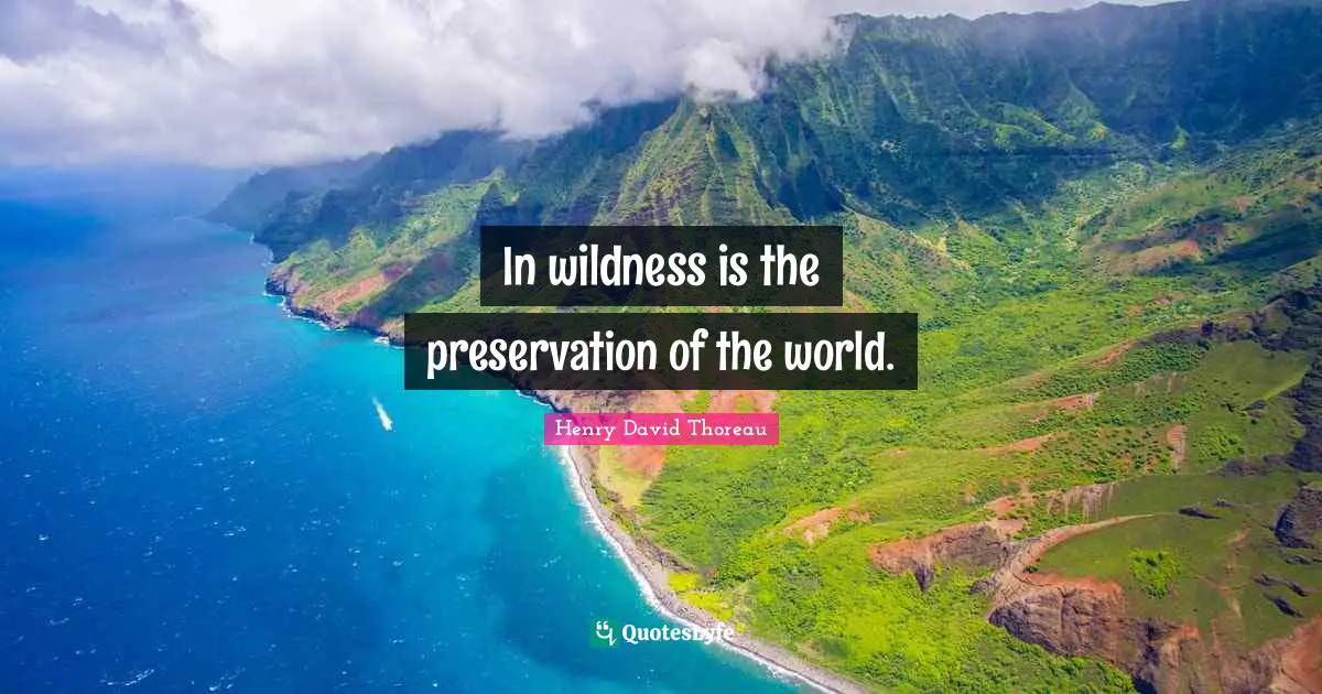 In wildness is the preservation of the world.