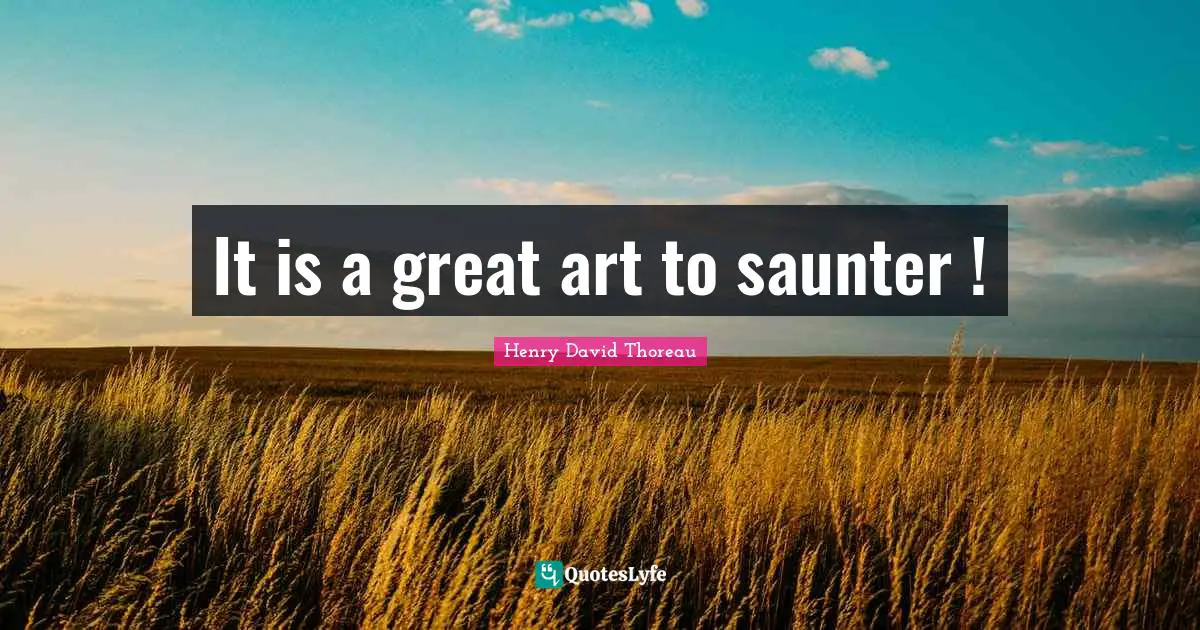 It is a great art to saunter !