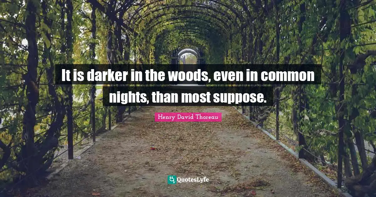 It is darker in the woods, even in common nights, than most suppose.