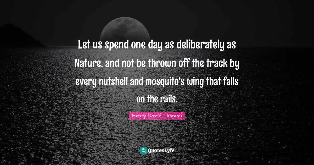 Let us spend one day as deliberately as Nature, and not be thrown off the track by every nutshell and mosquito's wing that falls on the rails.