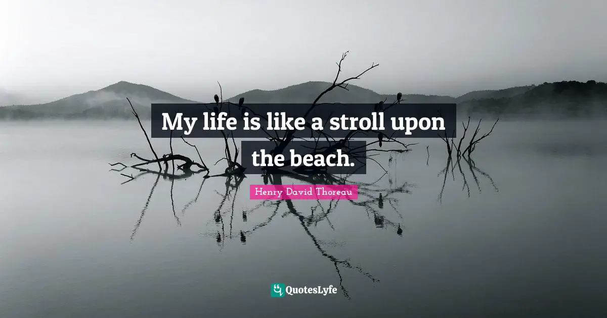 My life is like a stroll upon the beach.
