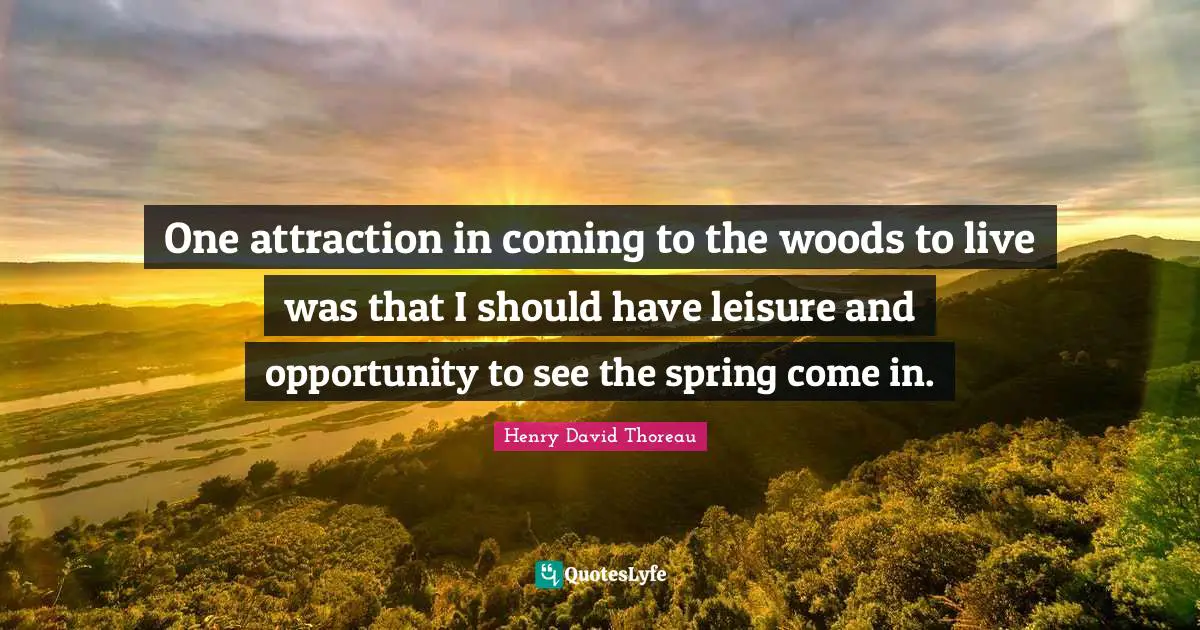 One attraction in coming to the woods to live was that I should have leisure and opportunity to see the spring come in.