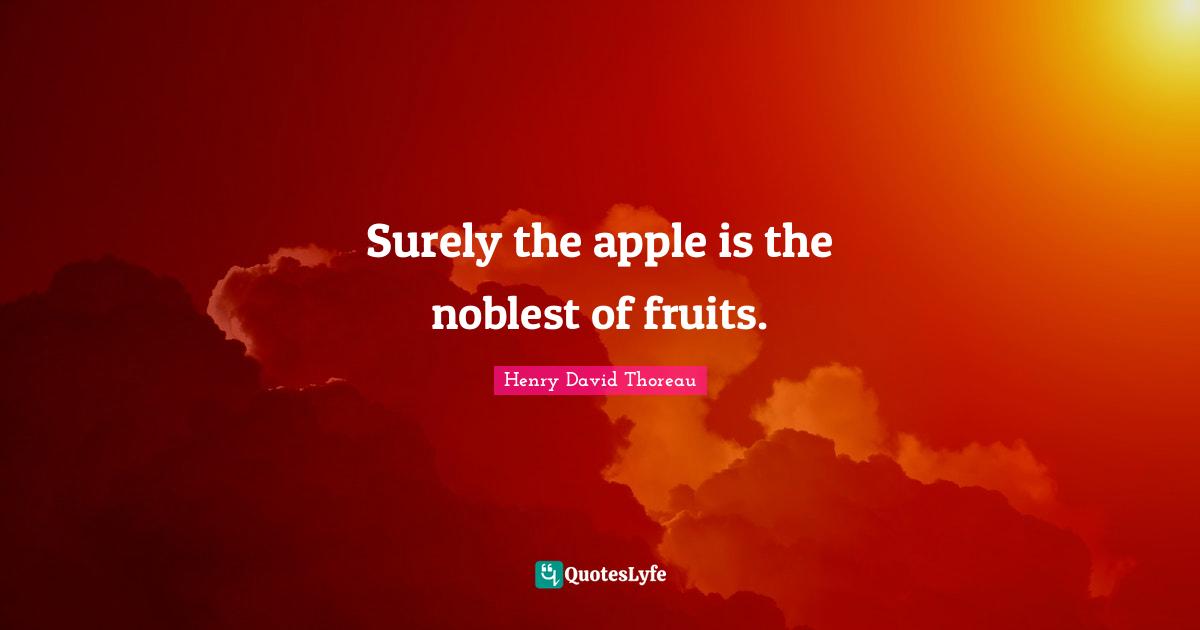 Surely the apple is the noblest of fruits.