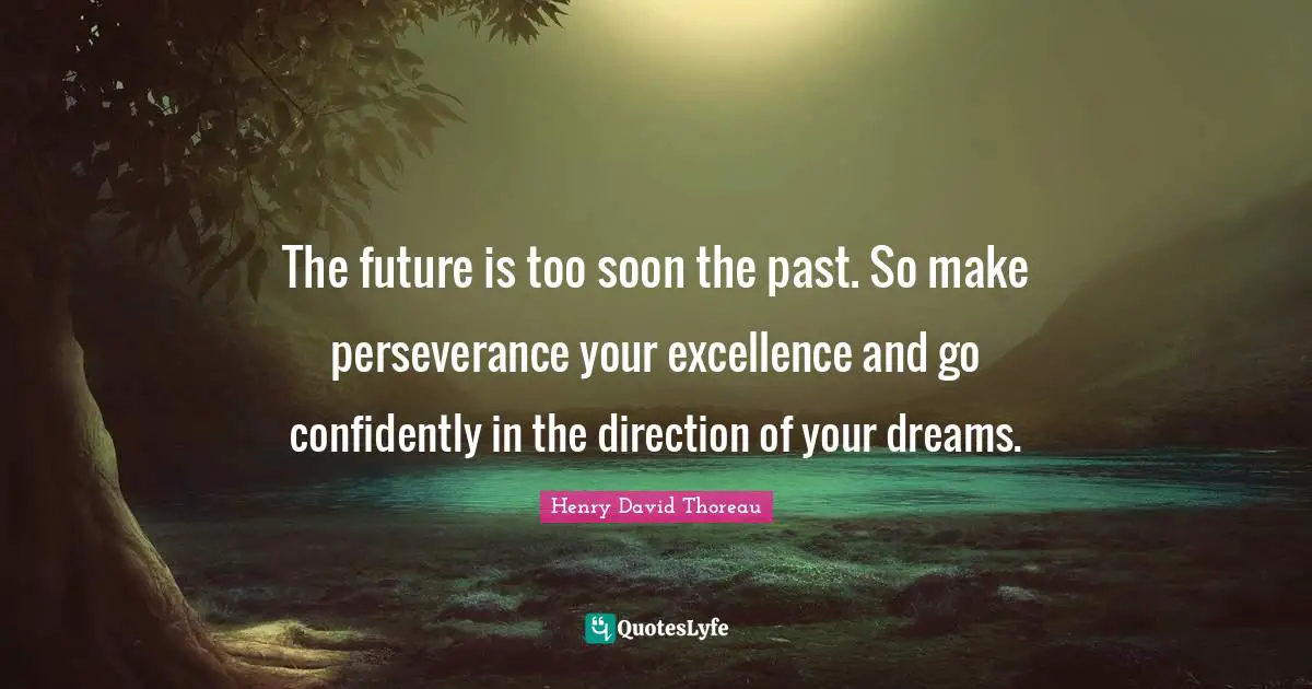 The future is too soon the past. So make perseverance your excellence and go confidently in the direction of your dreams.