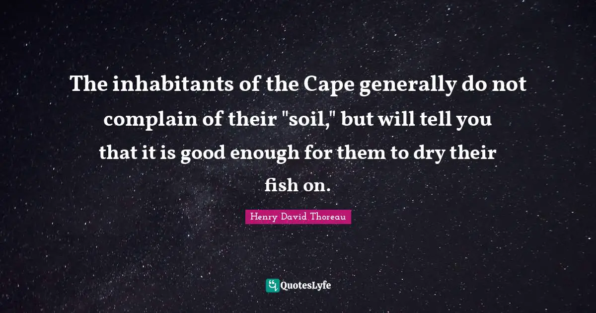 The inhabitants of the Cape generally do not complain of their "soil," but will tell you that it is good enough for them to dry their fish on.