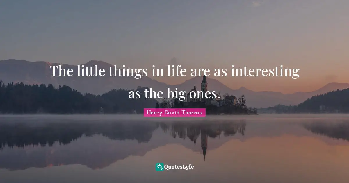 The little things in life are as interesting as the big ones.