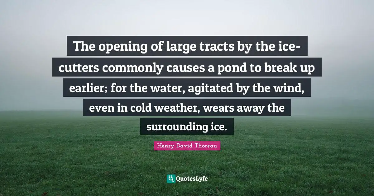 The opening of large tracts by the ice-cutters commonly causes a pond to break up earlier; for the water, agitated by the wind, even in cold weather, wears away the surrounding ice.