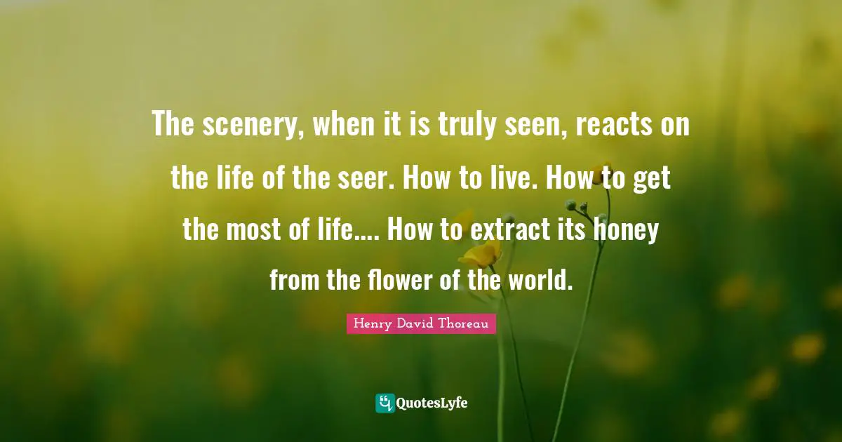 The scenery, when it is truly seen, reacts on the life of the seer. How to live. How to get the most of life.... How to extract its honey from the flower of the world.