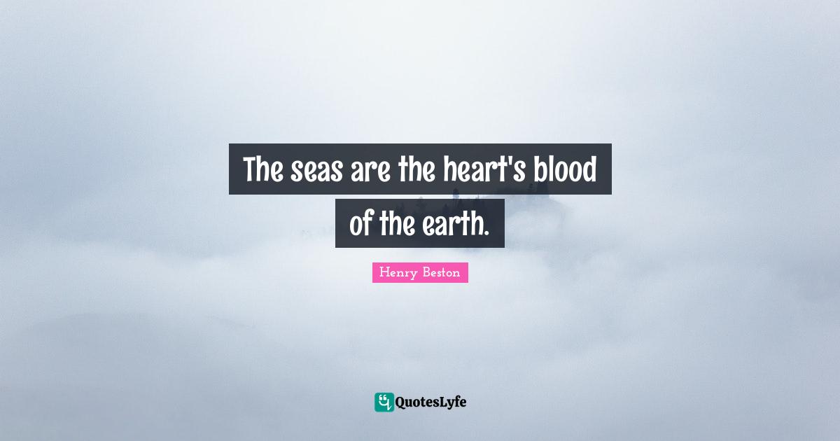 The seas are the heart's blood of the earth.