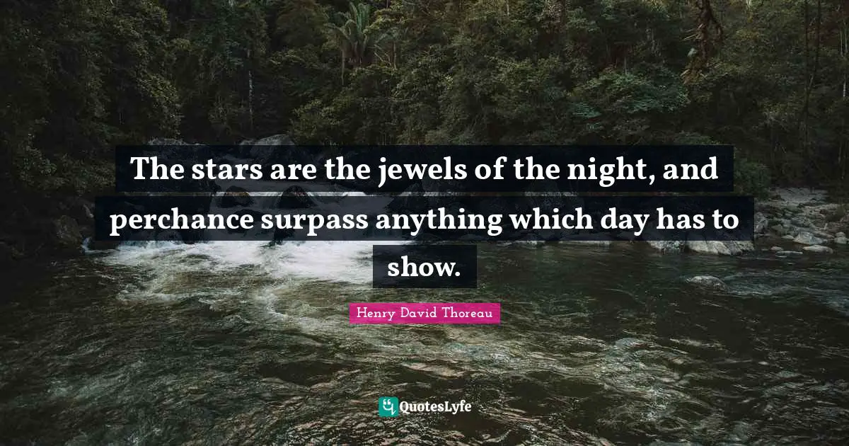 The stars are the jewels of the night, and perchance surpass anything which day has to show.