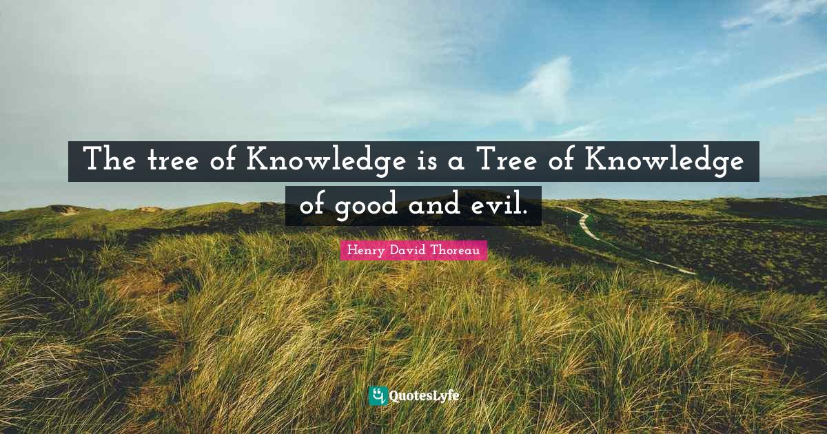 The tree of Knowledge is a Tree of Knowledge of good and evil.... Quote ...