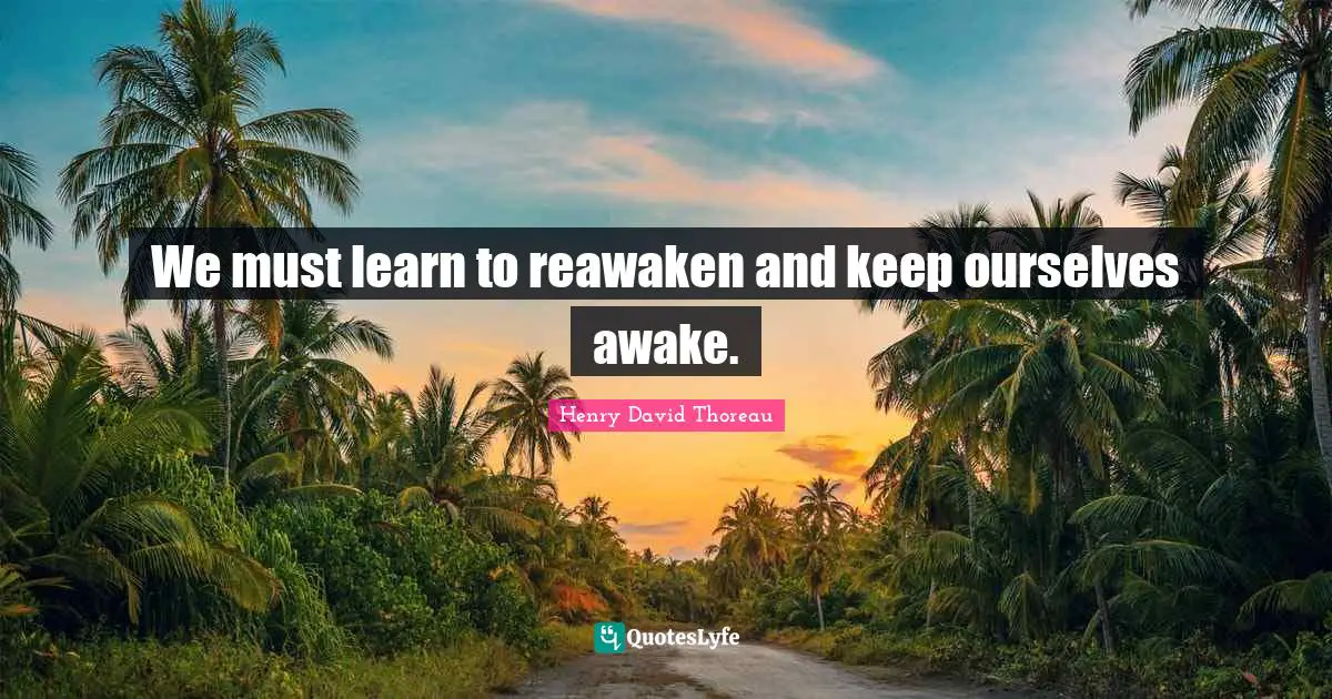 We must learn to reawaken and keep ourselves awake.