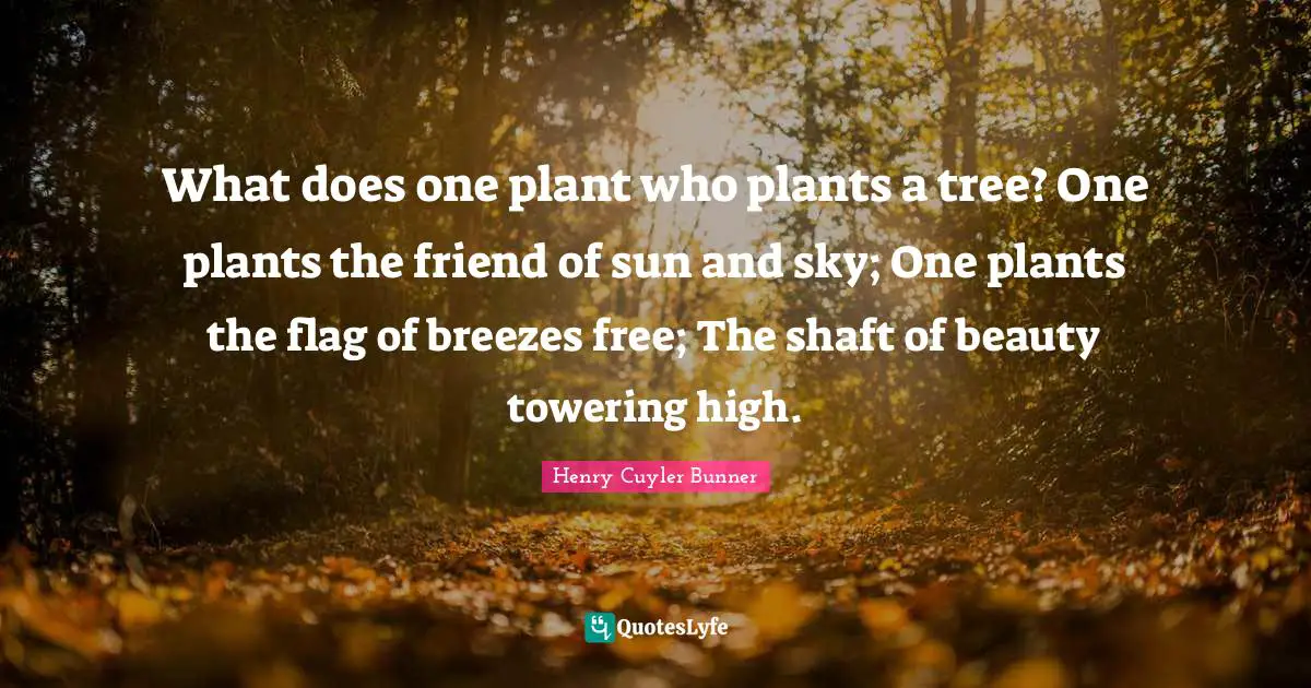 Nature Beauty Quotes: "What does one plant who plants a tree? One plants the friend of sun and sky; One plants the flag of breezes free; The shaft of beauty towering high."