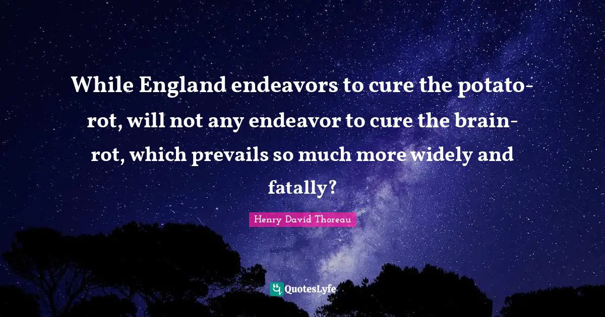 While England endeavors to cure the potato-rot, will not any endeavor to cure the brain-rot, which prevails so much more widely and fatally?