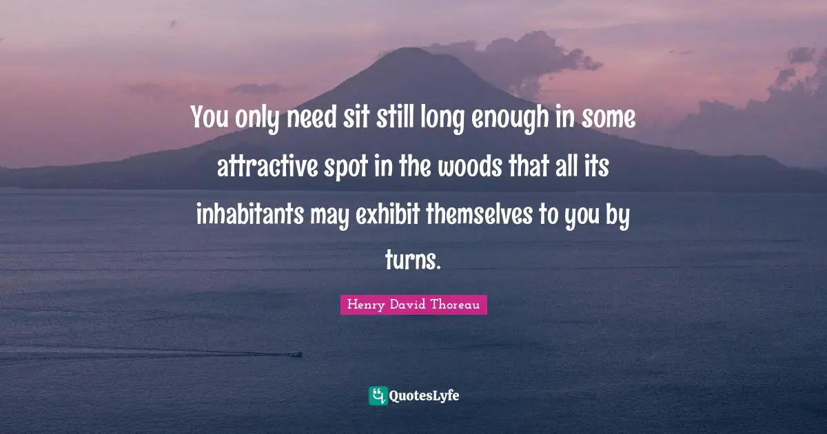 You only need sit still long enough in some attractive spot in the woods that all its inhabitants may exhibit themselves to you by turns.