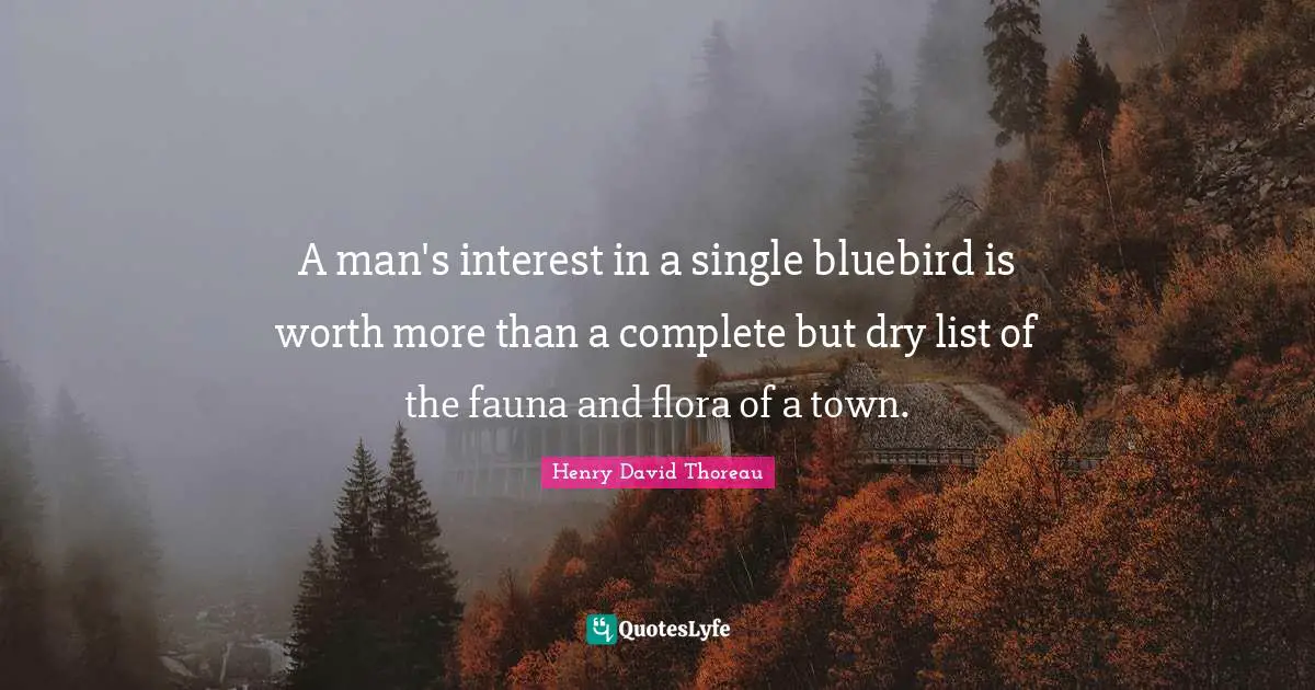 Lists Quotes: "A man's interest in a single bluebird is worth more than a complete but dry list of the fauna and flora of a town."
