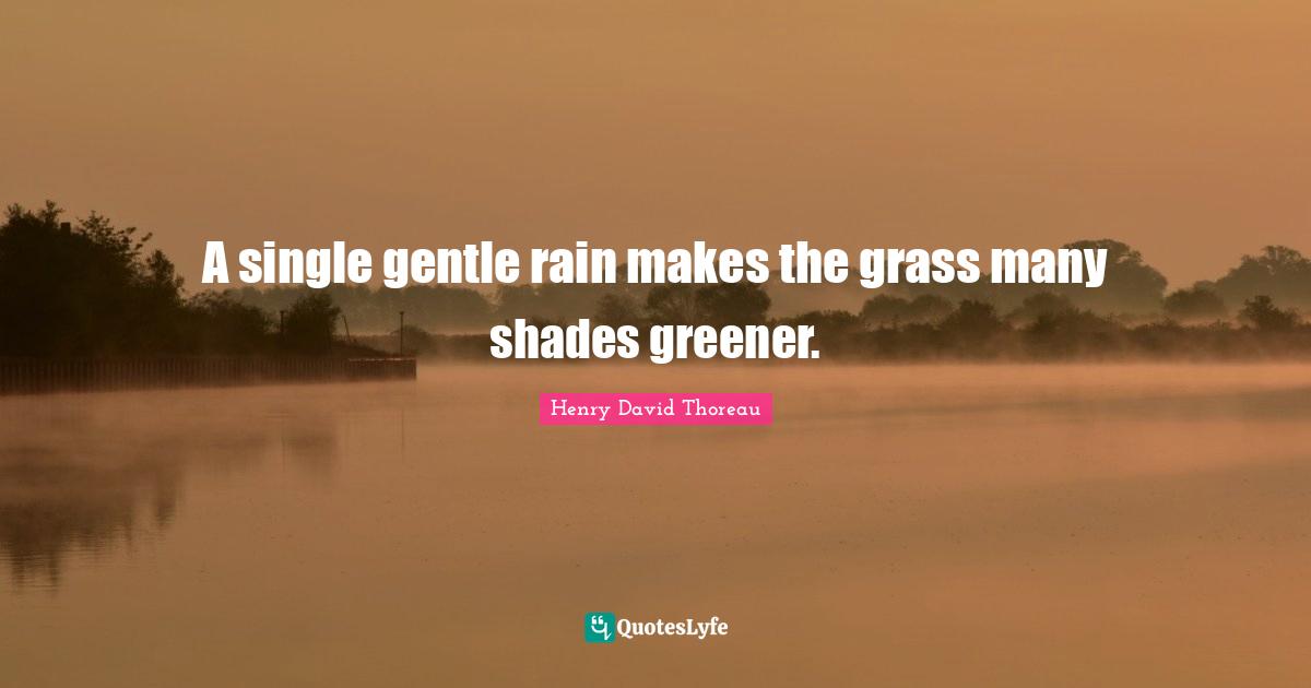 Walden Quotes: "A single gentle rain makes the grass many shades greener."