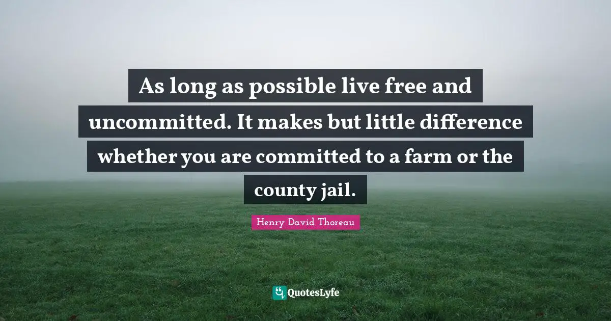 County Quotes: "As long as possible live free and uncommitted. It makes but little difference whether you are committed to a farm or the county jail."