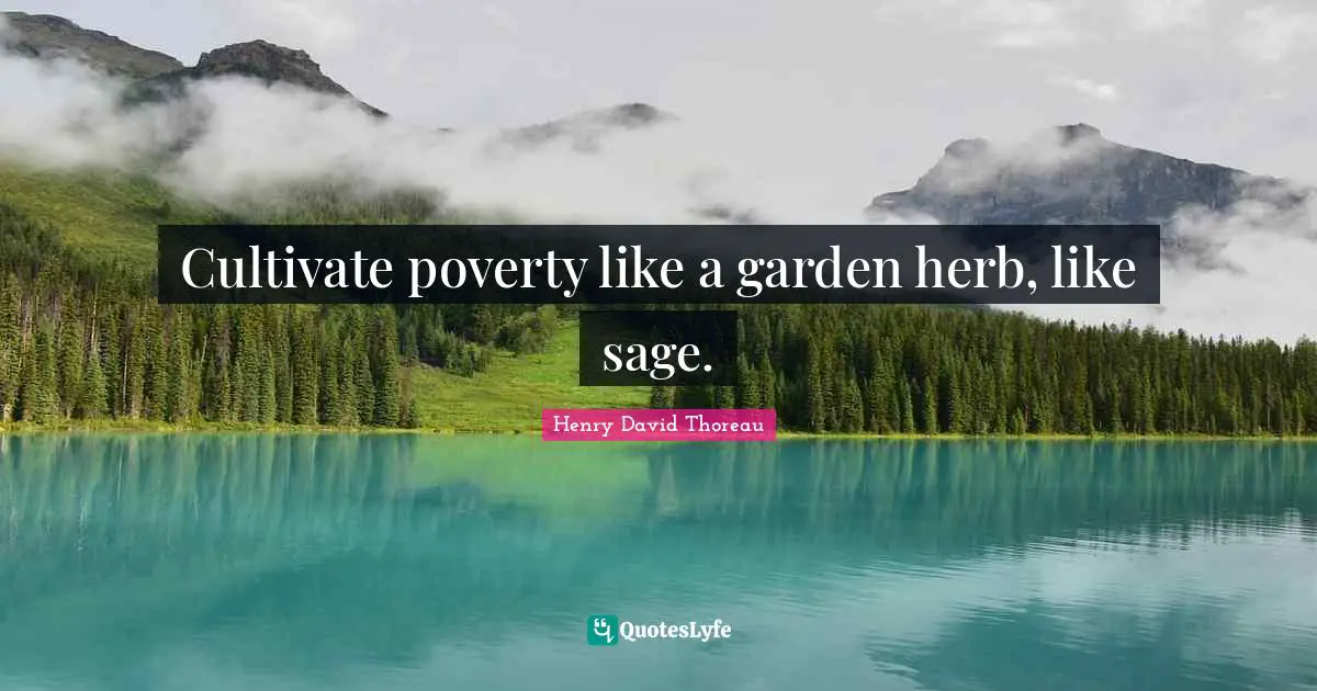 Cultivate poverty like a garden herb, like sage.