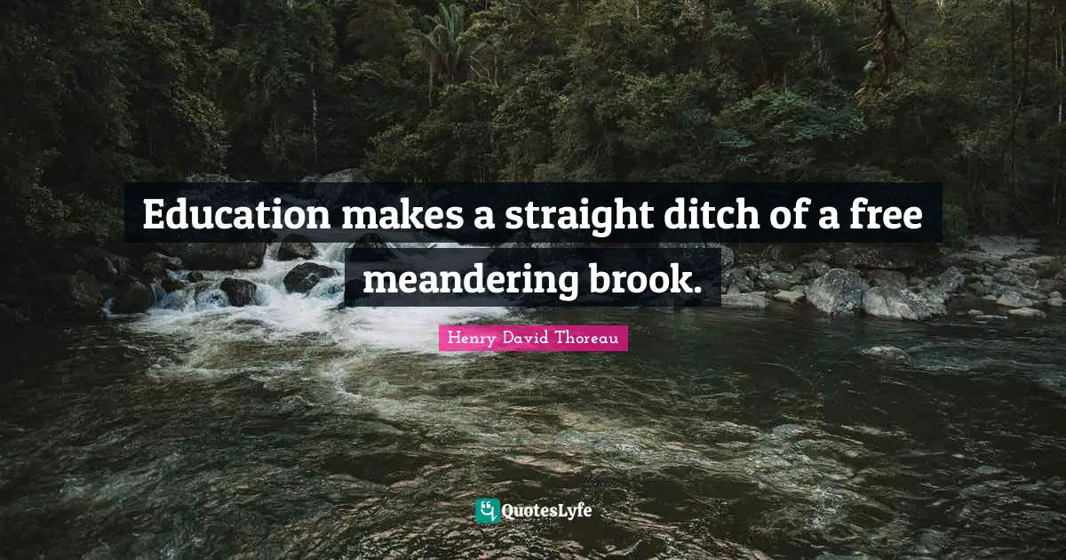 Education makes a straight ditch of a free meandering brook.