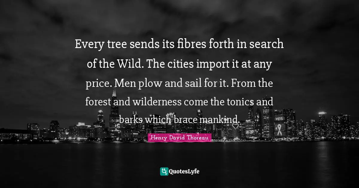 Every tree sends its fibres forth in search of the Wild. The cities import it at any price. Men plow and sail for it. From the forest and wilderness come the tonics and barks which brace mankind.