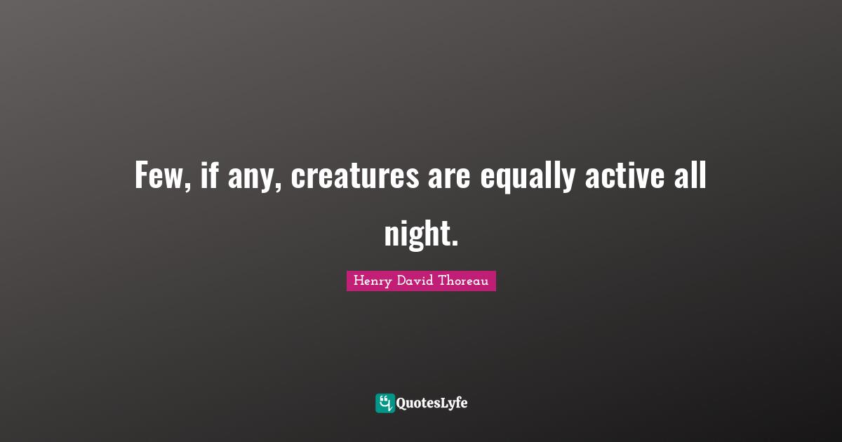 Few, if any, creatures are equally active all night.