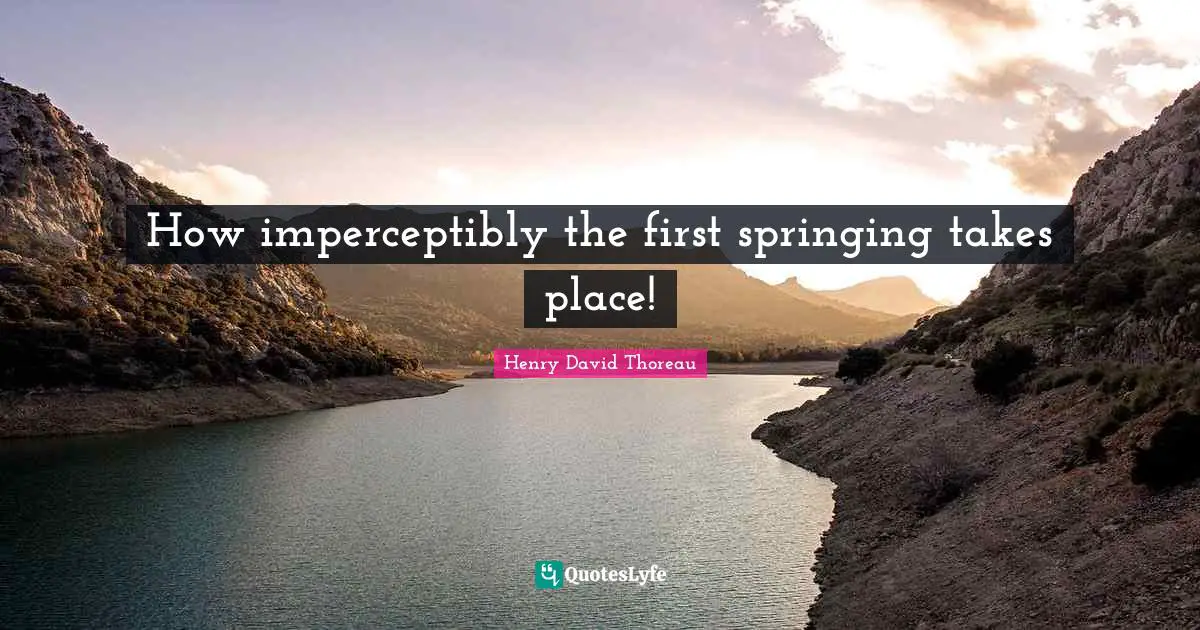 How imperceptibly the first springing takes place!