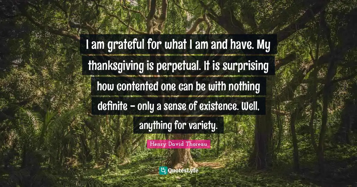 I am grateful for what I am and have. My thanksgiving is perpetual. It is surprising how contented one can be with nothing definite - only a sense of existence. Well, anything for variety.