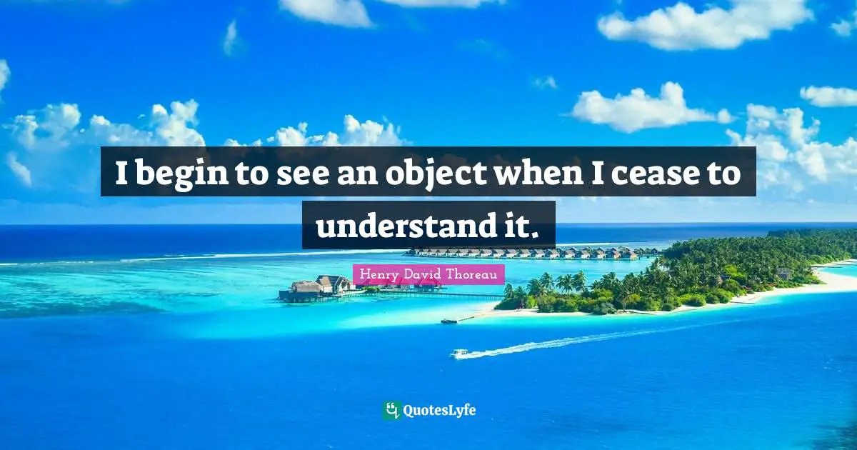 I begin to see an object when I cease to understand it.