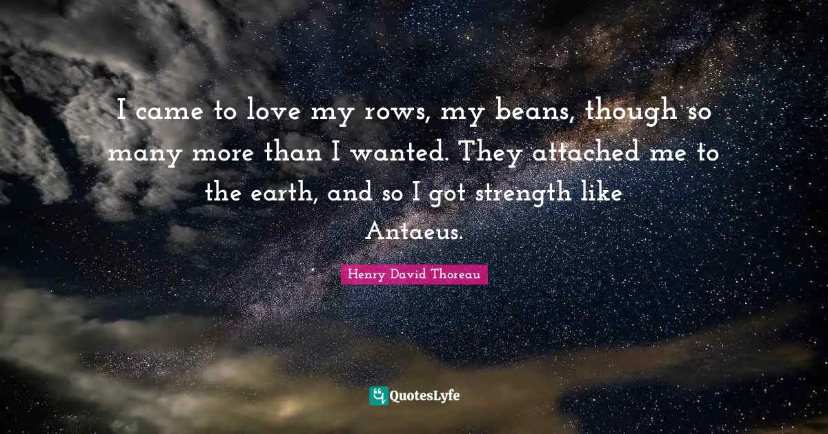 I came to love my rows, my beans, though so many more than I wanted. They attached me to the earth, and so I got strength like Antaeus.