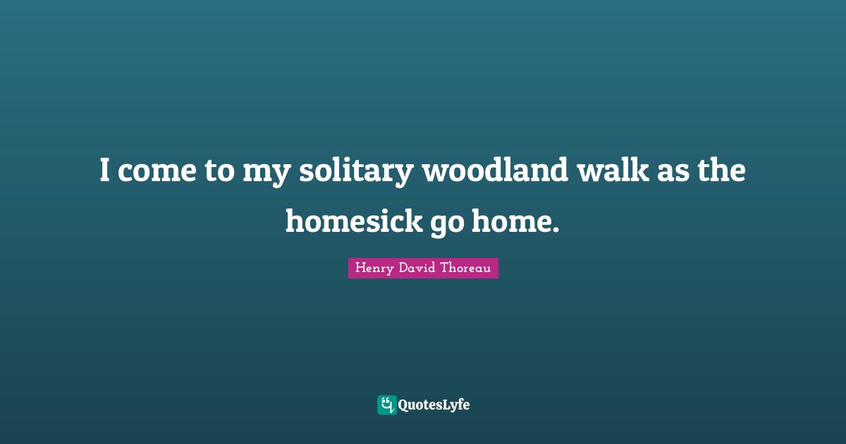 Solitary Quotes: "I come to my solitary woodland walk as the homesick go home."