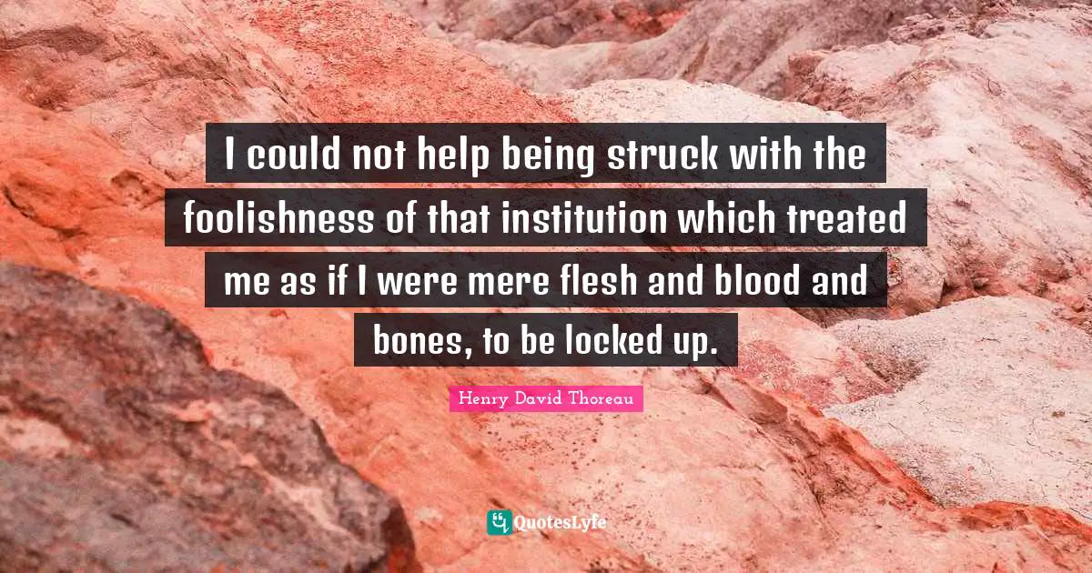 I could not help being struck with the foolishness of that institution which treated me as if I were mere flesh and blood and bones, to be locked up.