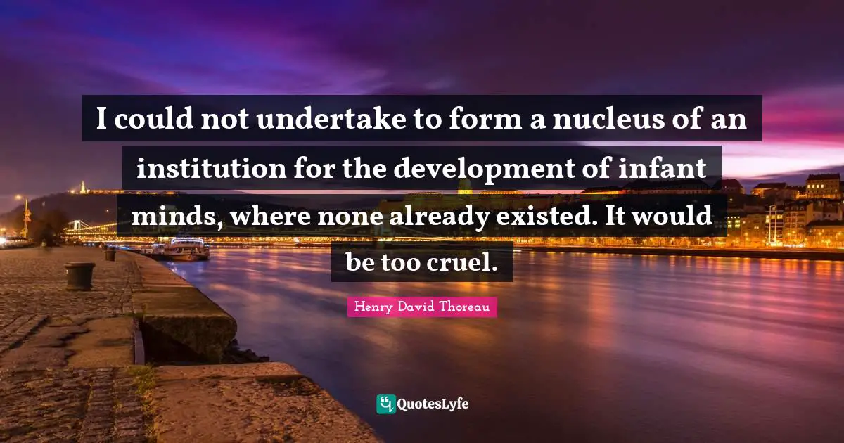 I could not undertake to form a nucleus of an institution for the development of infant minds, where none already existed. It would be too cruel.