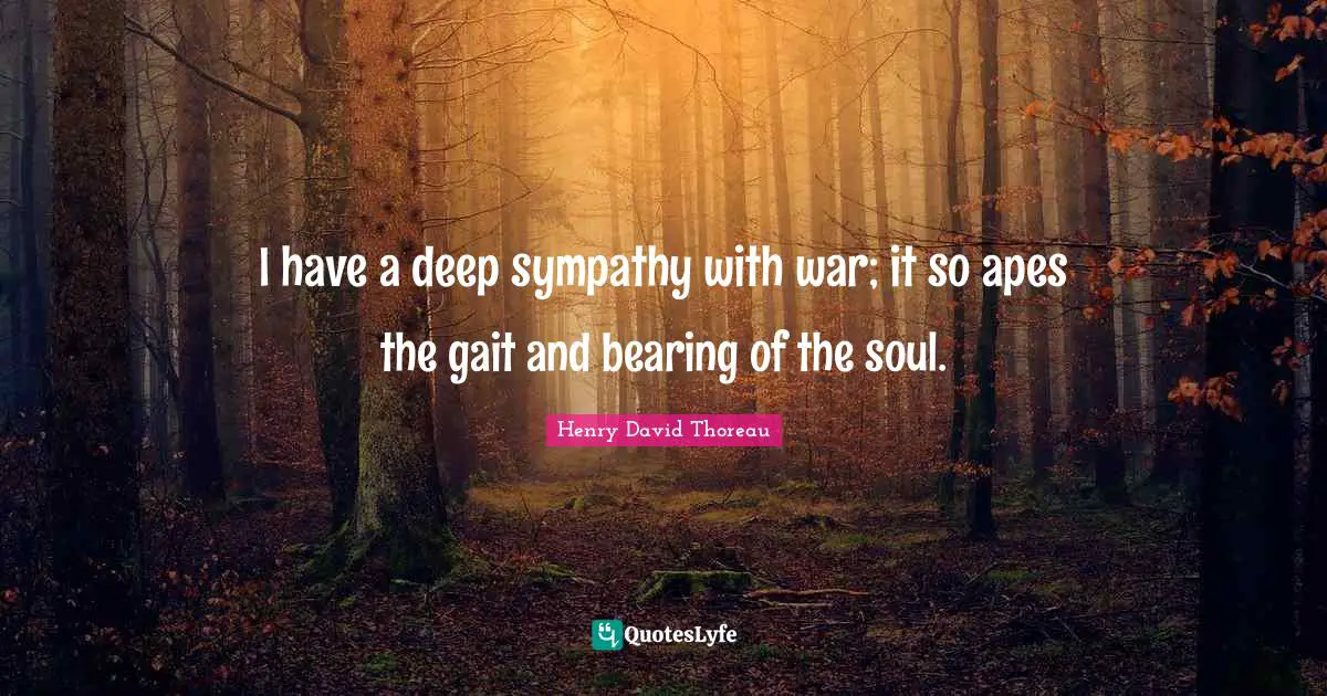 I have a deep sympathy with war; it so apes the gait and bearing of the soul.