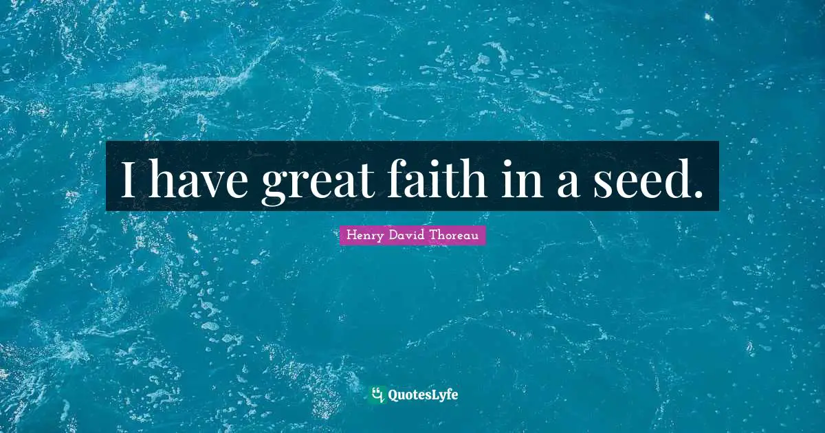 I have great faith in a seed.