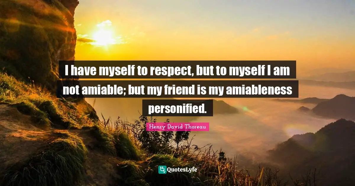 I have myself to respect, but to myself I am not amiable; but my friend is my amiableness personified.
