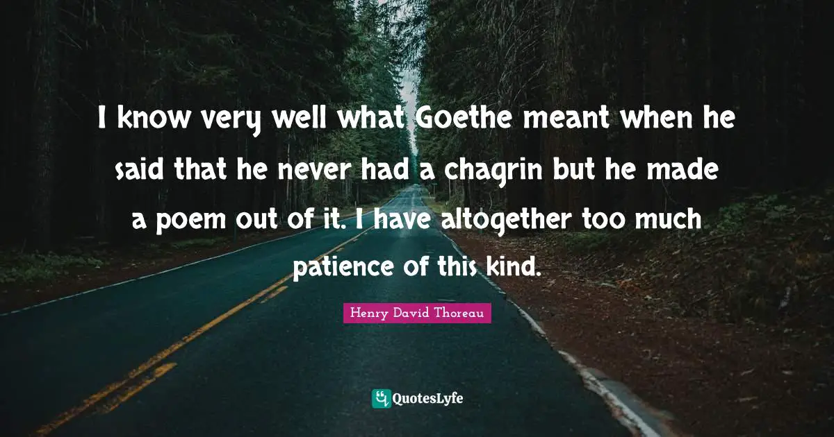 I know very well what Goethe meant when he said that he never had a chagrin but he made a poem out of it. I have altogether too much patience of this kind.