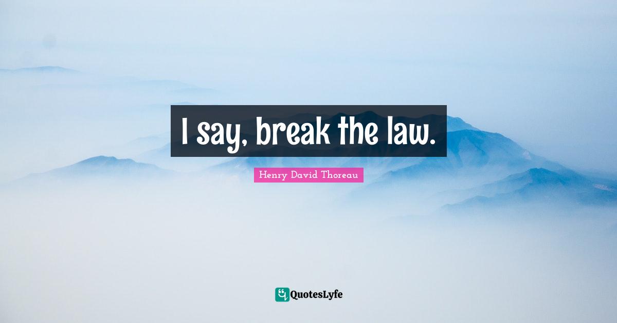 I say, break the law.