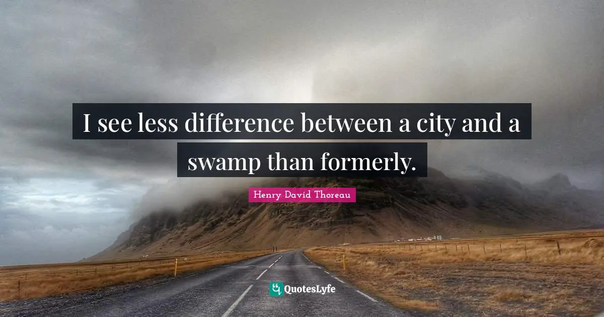 I see less difference between a city and a swamp than formerly.