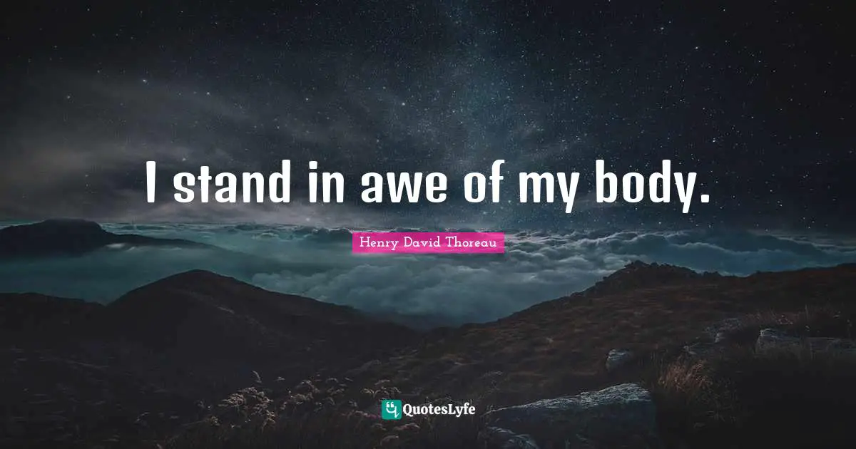 I stand in awe of my body.