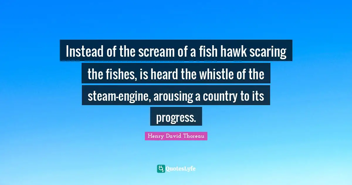 Instead of the scream of a fish hawk scaring the fishes, is heard the whistle of the steam-engine, arousing a country to its progress.