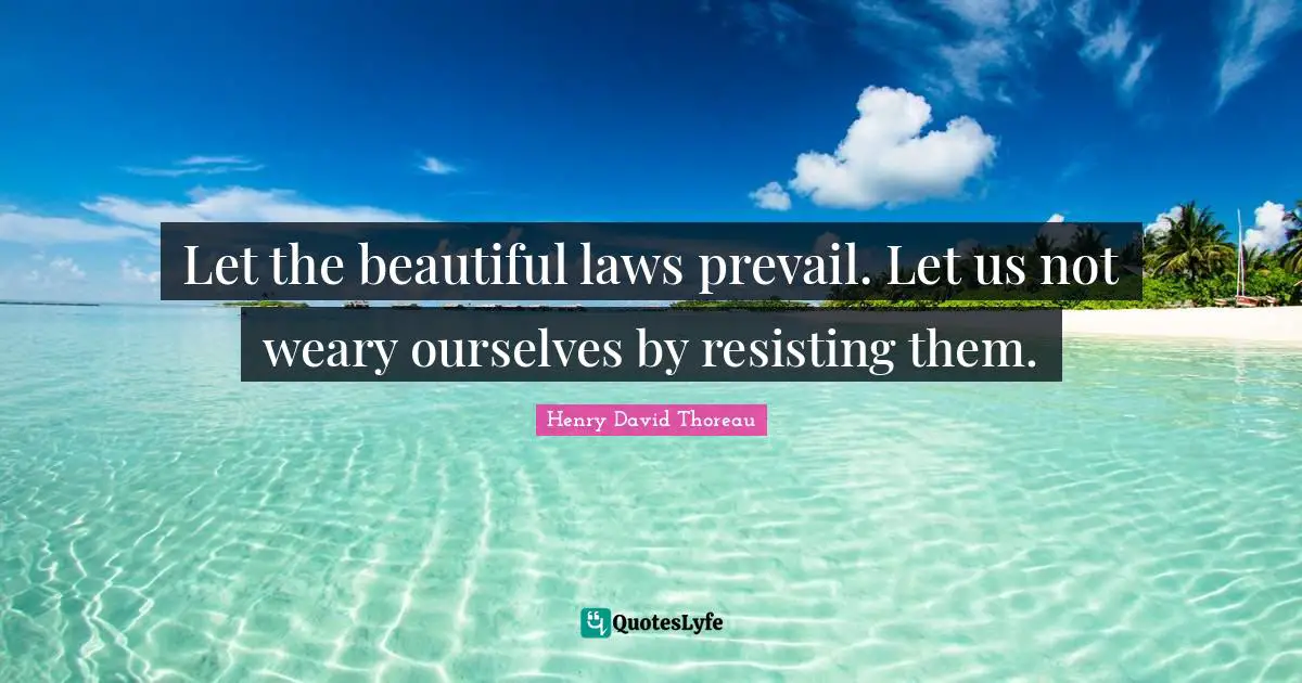 Let the beautiful laws prevail. Let us not weary ourselves by resisting them.