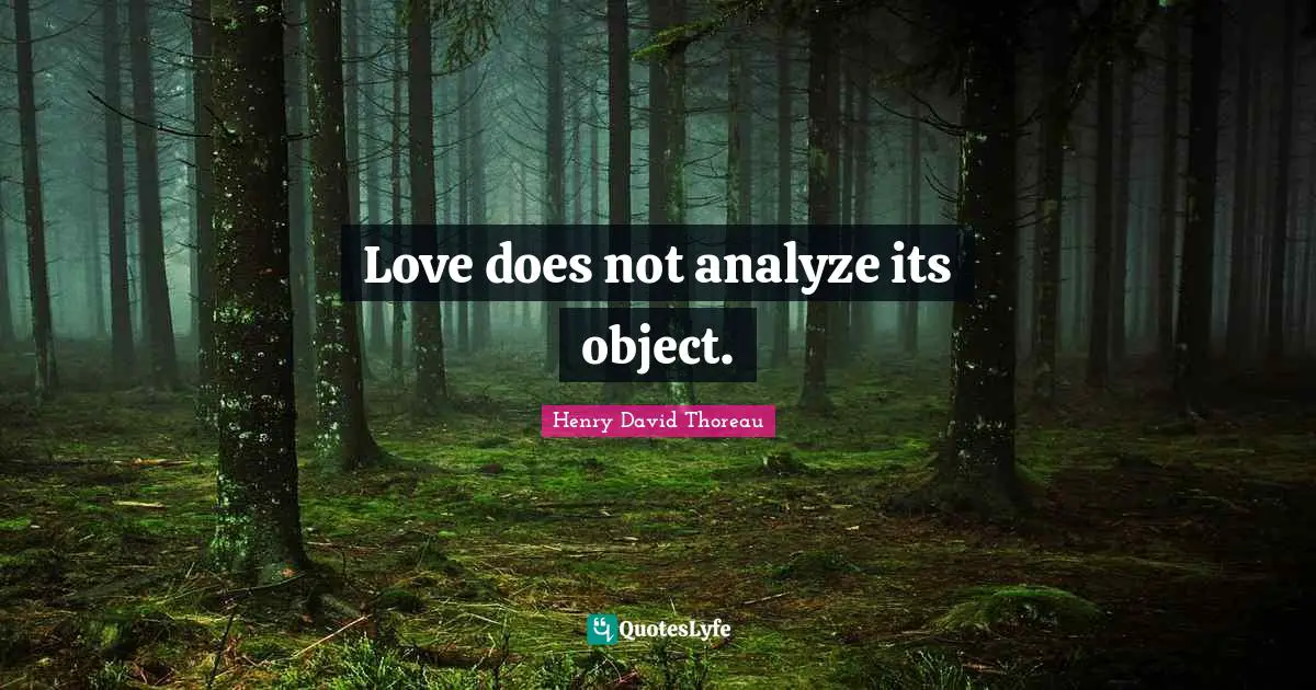 Love does not analyze its object.