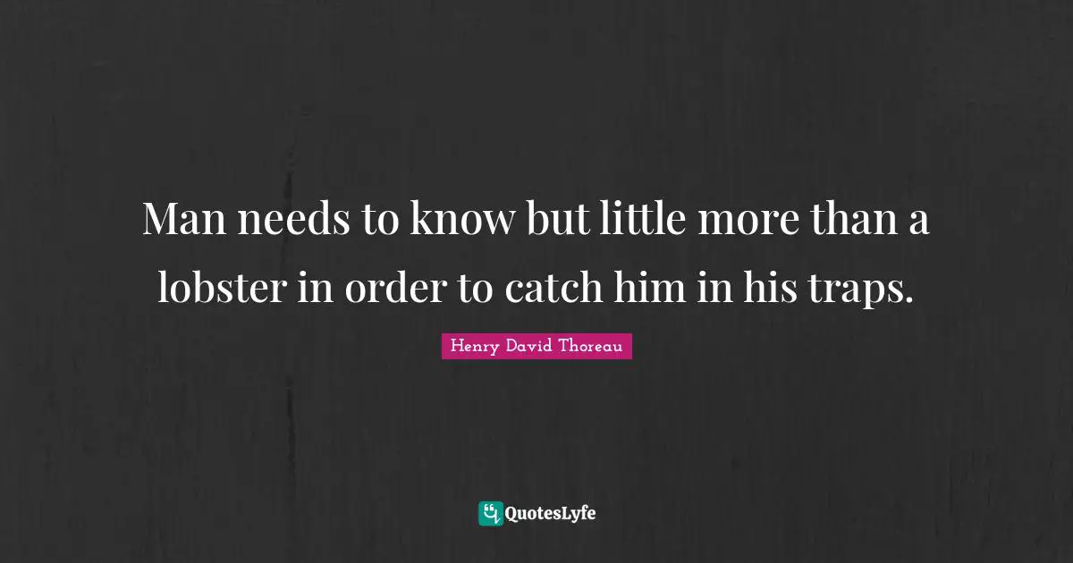 Man needs to know but little more than a lobster in order to catch him in his traps.